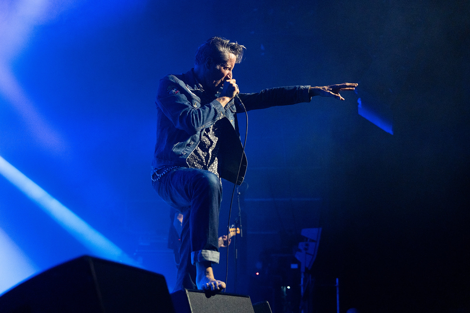 Washington Dead Cats – énergie brute